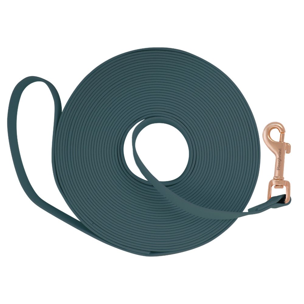 1.5cm Waterproof Long Dog Training Leash for Yard, Camping, Walking, Beach Playing