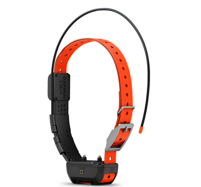 Garmin Alpha TT25 Dog Tracking Collar US Version